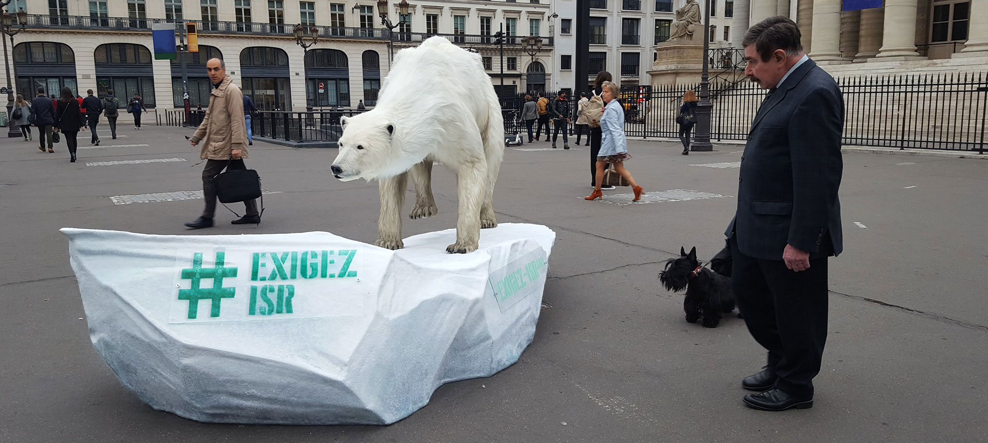 A bear in Paris